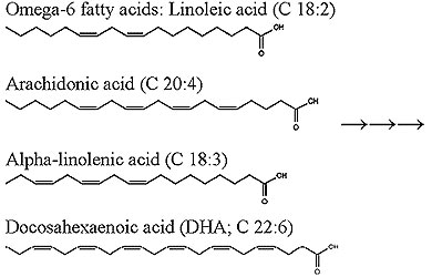 Omega 6 fatty acids