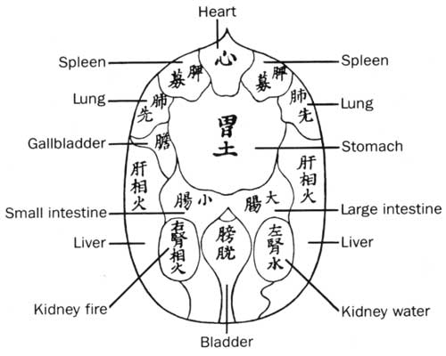 What's Zen Shiatsu, & How is it Used?