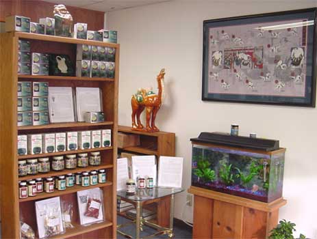 Display of green teas, Kyo-Green powder and raw herb materials.